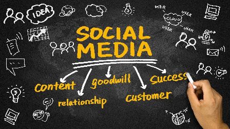 Social Media vs Kennel Website